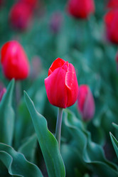 Similar image 6108130