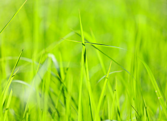 Similar image 6108134