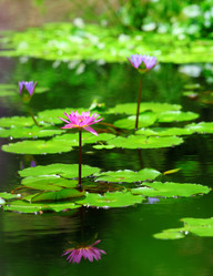 Similar image 6108140