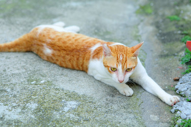 Similar image 6108175