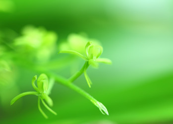 Similar image 6108195