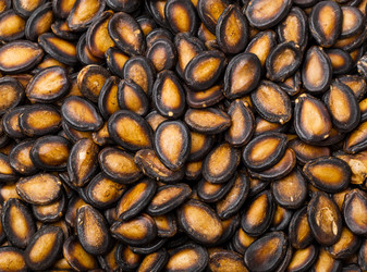 Similar image 6108251