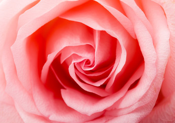 Similar image 6108278