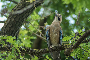 Similar image 6108327