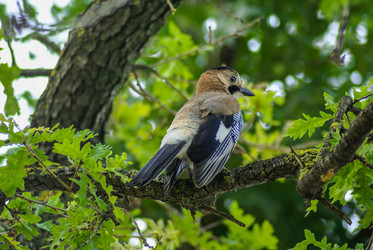 Similar image 6108369