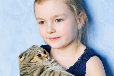 Similar image 6108501