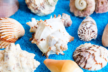 Similar image 6108533