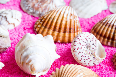 Similar image 6108535