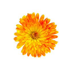 Similar image 6108618