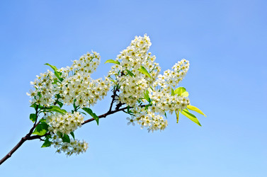 Similar image 6108633