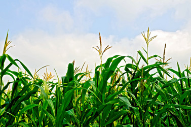 Similar image 6108656