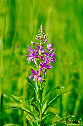 Similar image 6108694