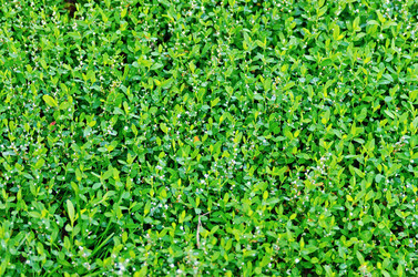 Similar image 6108749