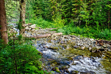 Similar image 6108829