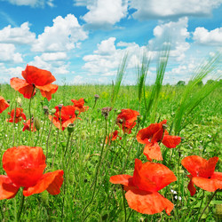 Similar image 6108915