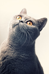 Similar image 6108935