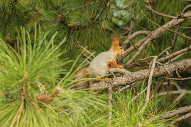 Similar image 6108940