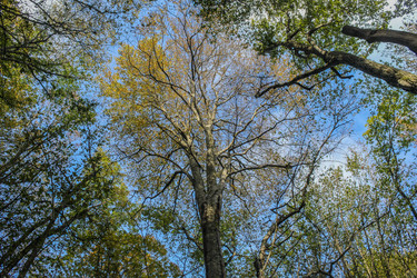 Similar image 6108941