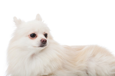 Similar image 6108966