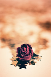 Similar image 6108977