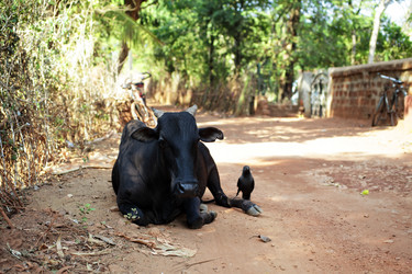 Similar image 6108982