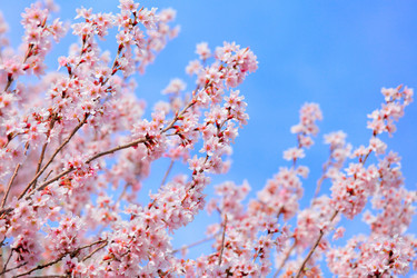 Similar image 6108989