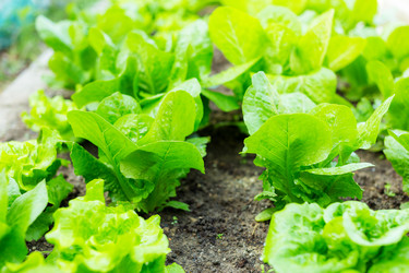 Similar image 6108994