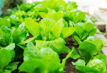 Similar image 6109003