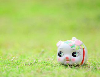 Similar image 6109006