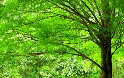 Similar image 6109097