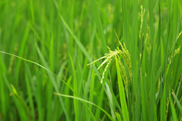 Similar image 6109105