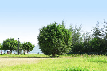 Similar image 6109130