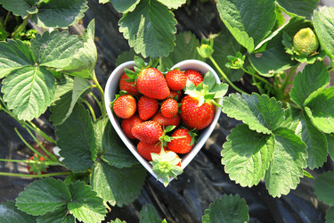 Similar image 6109194