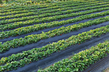 Similar image 6109197