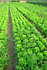 Similar image 6109199