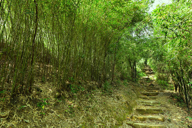 Similar image 6109205