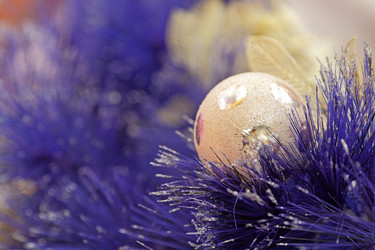 Similar image 6109206