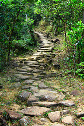 Similar image 6109208