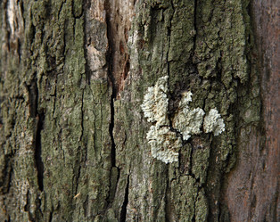 Similar image 6109238