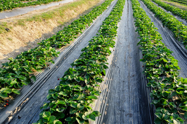 Similar image 6109244