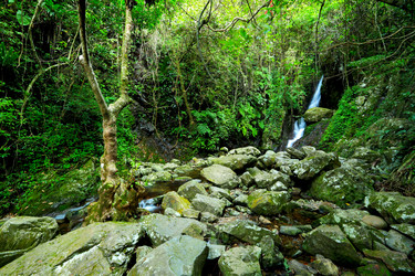 Similar image 6109304