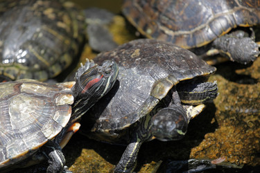 Similar image 6109309