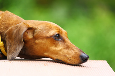 Similar image 6109348