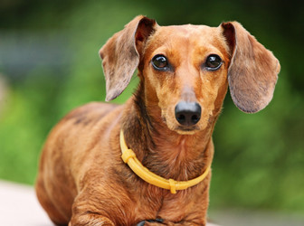 Similar image 6109353