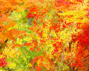 Similar image 6109601