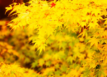 Similar image 6109608