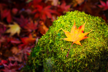 Similar image 6109626