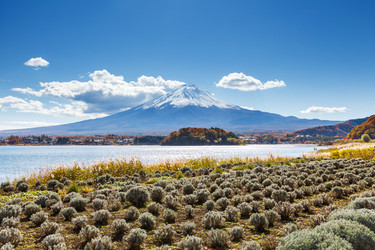 Similar image 6109629