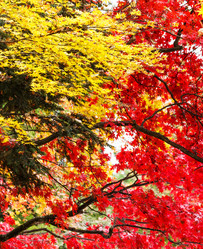 Similar image 6109637