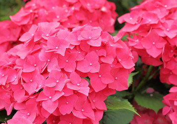 Similar image 6109715